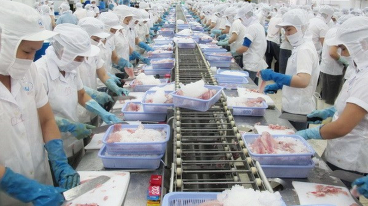 12 NỮ CHẾ BIẾN THỰC PHẨM THỦY SẢN