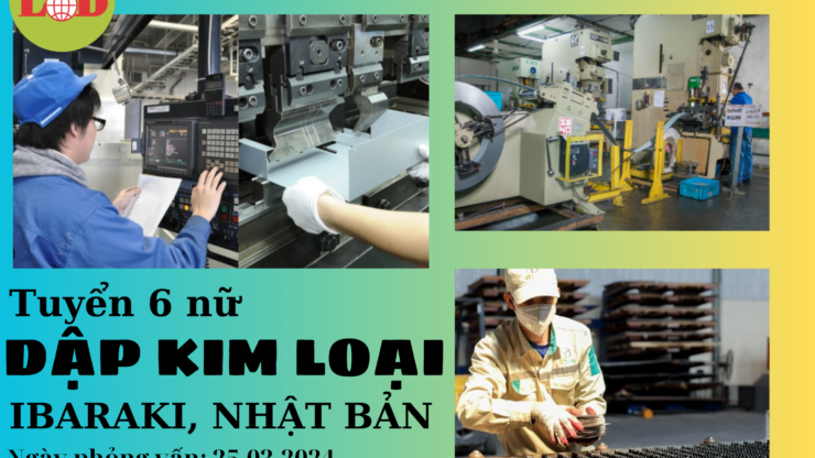 6 NỮ DẬP KIM LOẠI